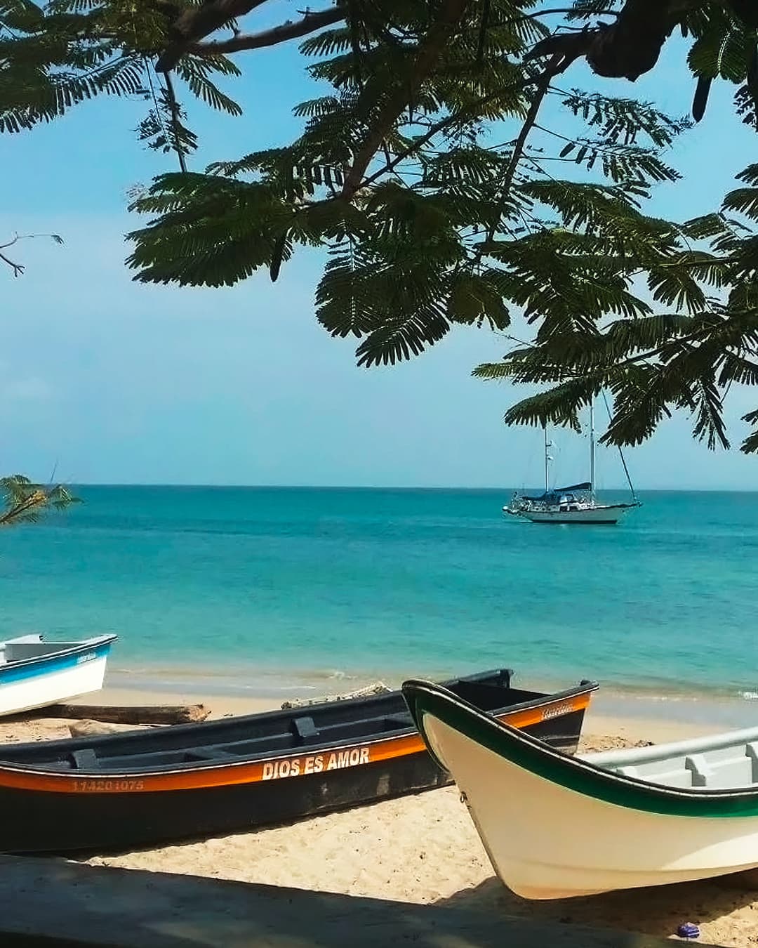 Piscina y cabañas en Cabañas Isla Bonita